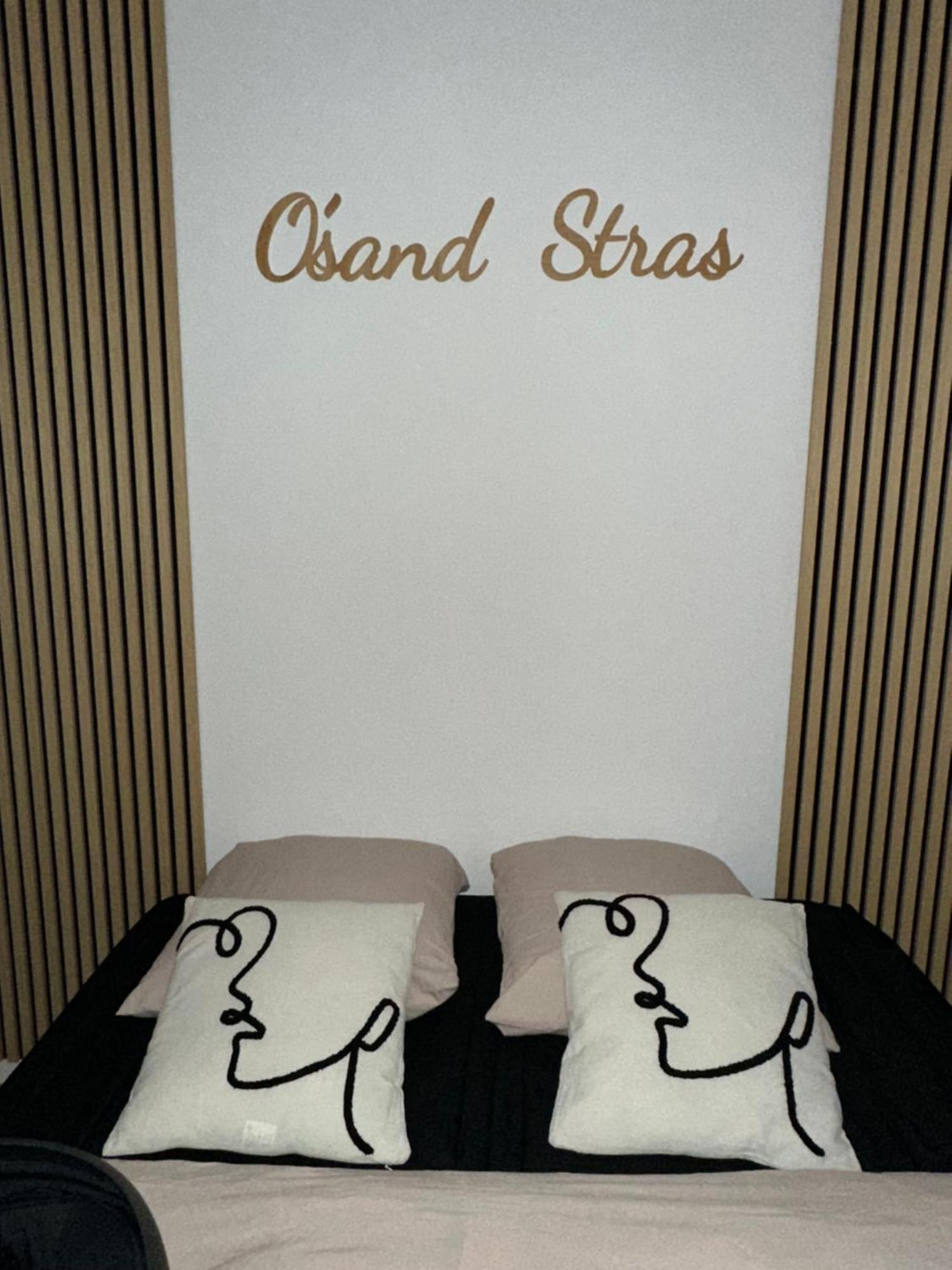שטרסבורג O Sand Stras Studio 25M Carre מראה חיצוני תמונה